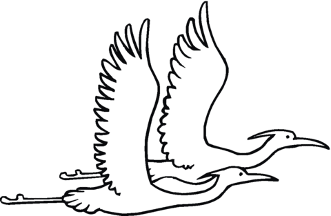 Two Egret Are Flying Together Coloring Page